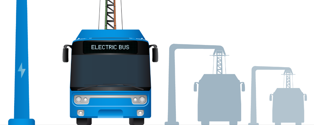 graphic of buses