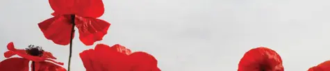Canadian-Armed-Forces-fare-free-campaign-2025-web-banner-1900-x-725-px-1.png
